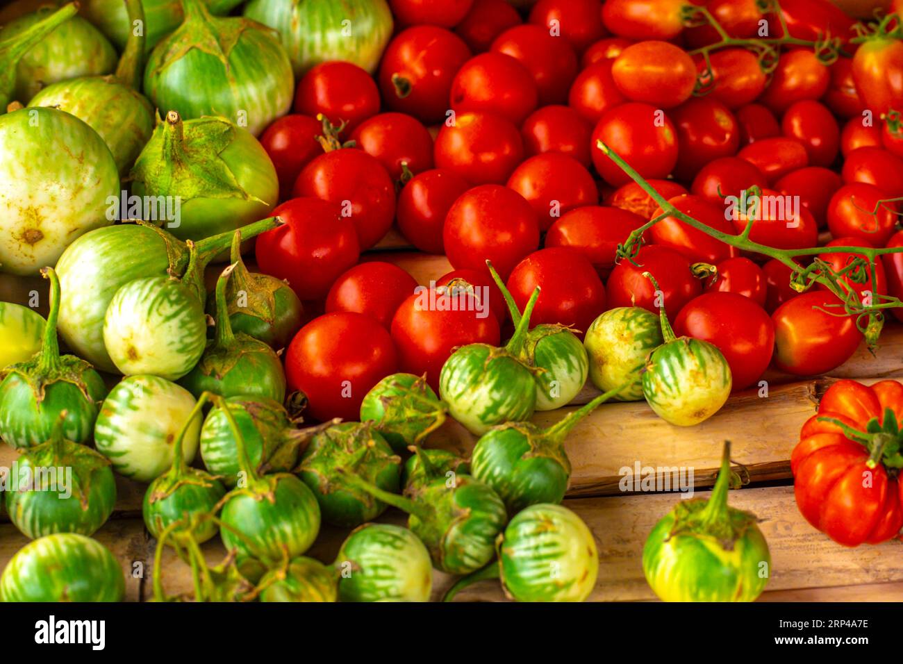 Üppige Auswahl an leuchtenden roten Tomaten und kleinen runden gestreiften grünen Thai Auberginen gemischt auf einer rustikalen Holzoberfläche Stockfoto