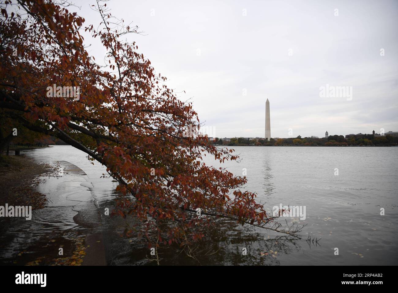 (181101) -- WASHINGTON, 1. November 2018 -- das Washington Monument wird am Seeufer des Tidal Basin in Washington D.C., USA, am 1. November 2018 gesehen. ) U.S.-WASHINGTON D.C.-TIDAL BASIN-HERBSTLIUXJIE PUBLICATIONXNOTXINXCHN Stockfoto