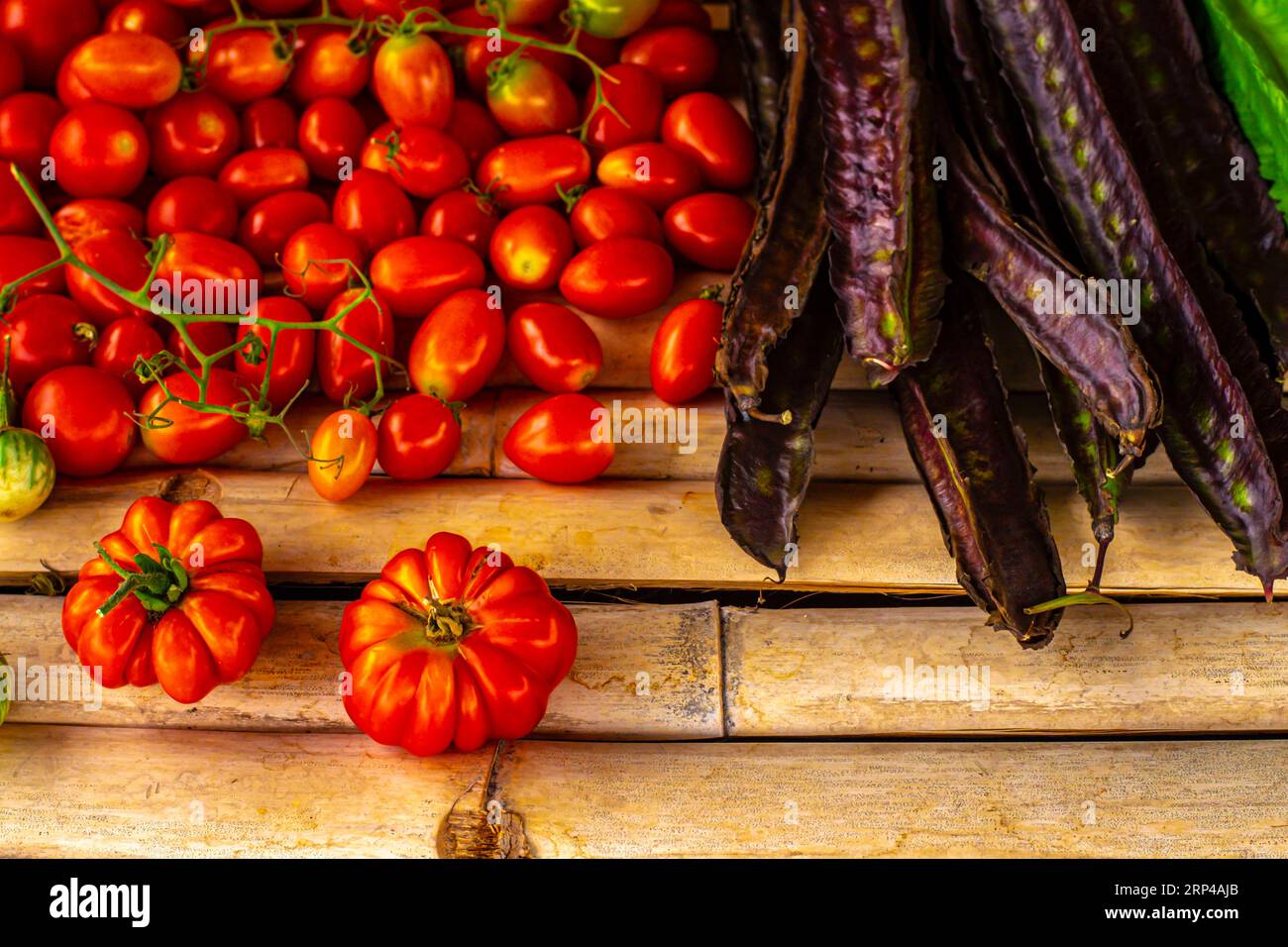 Im Herzen der Landwirtschaft: Entdecken Sie rote Tomatenfarmen Stockfoto