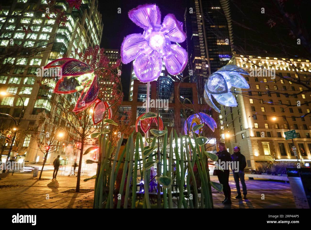 (181103) -- VANCOUVER, 3. November 2018 -- die Leute sehen eine Kunstinstallation während der Lumiere Vancouver Ausstellung in Vancouver, Kanada, 2. November 2018. Lumiere Vancouver ist eine jährlich stattfindende öffentliche Kunstveranstaltung, bei der verschiedene beleuchtete interaktive Kunstinstallationen gezeigt werden. ) (lrz) CANADA-VANCOUVER-ART INSTALLATION-AUSSTELLUNG LiangxSen PUBLICATIONxNOTxINxCHN Stockfoto