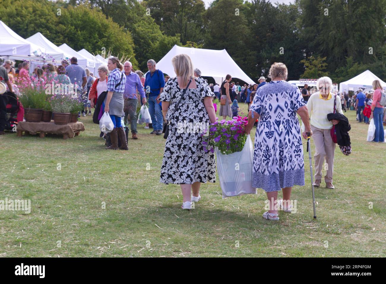 Die zweite Gärtner World Autumn Fair im Audley End House and Gardens, Saffron Walden, Essex. Viele Pflanzen wurden bei der Show gekauft. Stockfoto