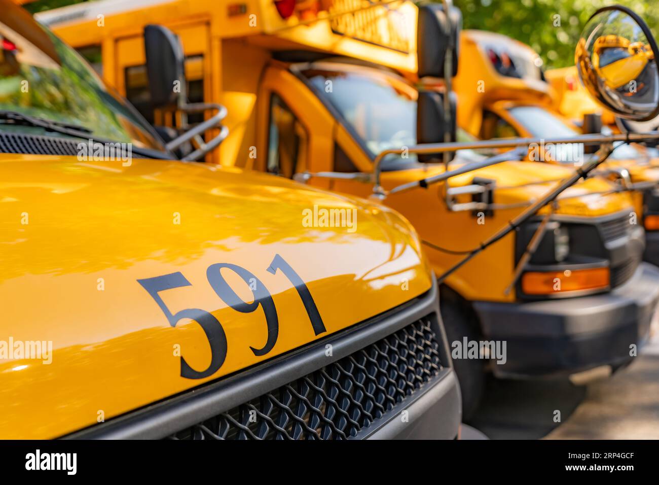 Vor einem geparkten gelben Schulbus Nummer 591 Stockfoto
