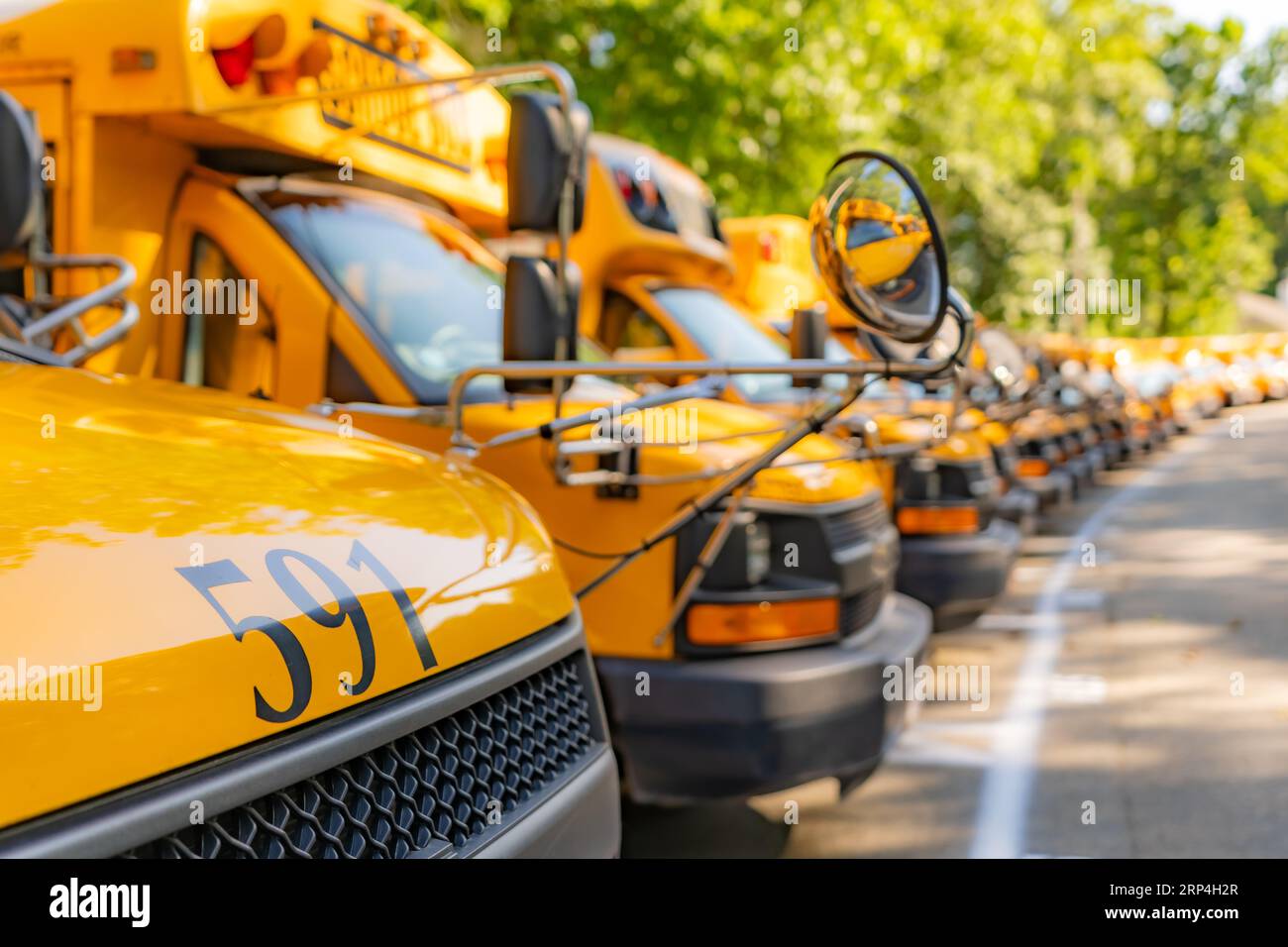 Vor einem geparkten gelben Schulbus Nummer 591 Stockfoto