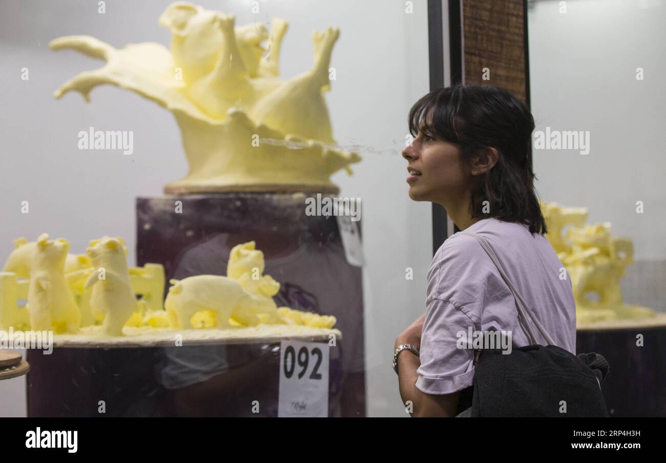 (181108) -- TORONTO, 8. November 2018 -- Ein Besucher schaut sich Butterskulpturen während des Wettbewerbs Butter Sculpture der Royal Agricultural Winter Fair 2018 in Toronto, Kanada, am 8. November 2018 an. Die zehntägige jährliche Veranstaltung begann am 2. November und zeigte landwirtschaftliche Erzeugnisse, Viehzucht und neue landwirtschaftliche Technologien. ) KANADA-TORONTO-KÖNIGLICHE LANDWIRTSCHAFT WINTER FAIR BUTTER SKULPTUREN ZOUXZHENG PUBLICATIONXNOTXINXCHN Stockfoto