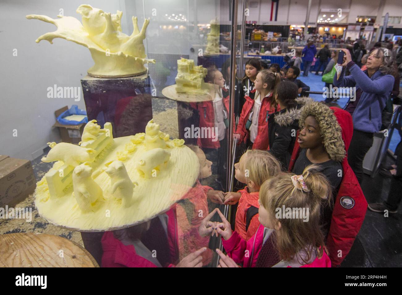 (181108) -- TORONTO, 8. November 2018 -- die Leute schauen sich Butterskulpturen während des Wettbewerbs Butter Sculpture der Royal Agricultural Winter Fair 2018 in Toronto, Kanada, am 8. November 2018 an. Die zehntägige jährliche Veranstaltung begann am 2. November und zeigte landwirtschaftliche Erzeugnisse, Viehzucht und neue landwirtschaftliche Technologien. ) KANADA-TORONTO-KÖNIGLICHE LANDWIRTSCHAFT WINTER FAIR BUTTER SKULPTUREN ZOUXZHENG PUBLICATIONXNOTXINXCHN Stockfoto