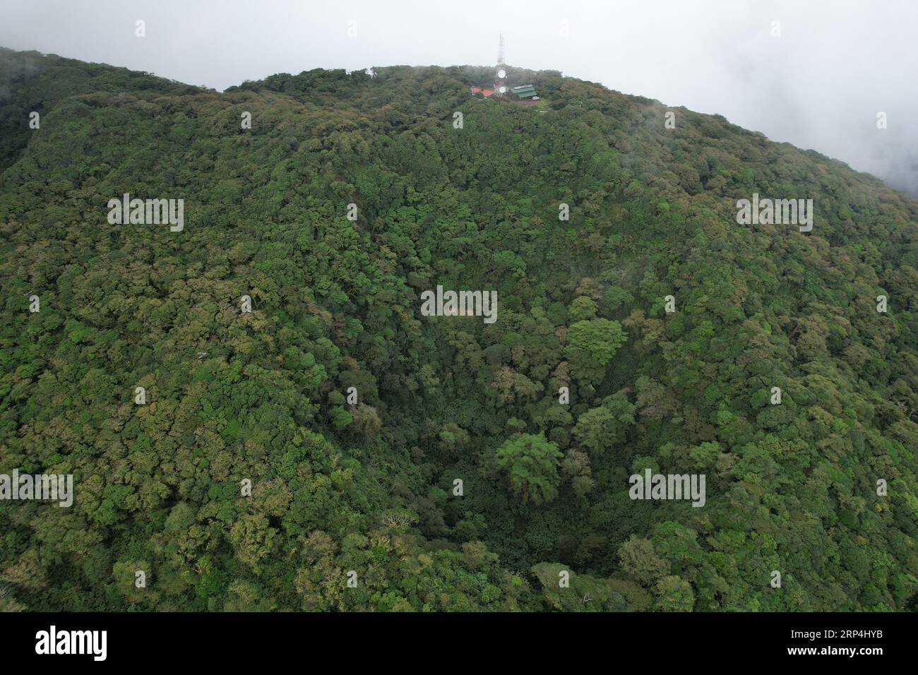 Wanderwege in Mombacho Vulkan aus der Vogelperspektive Stockfoto