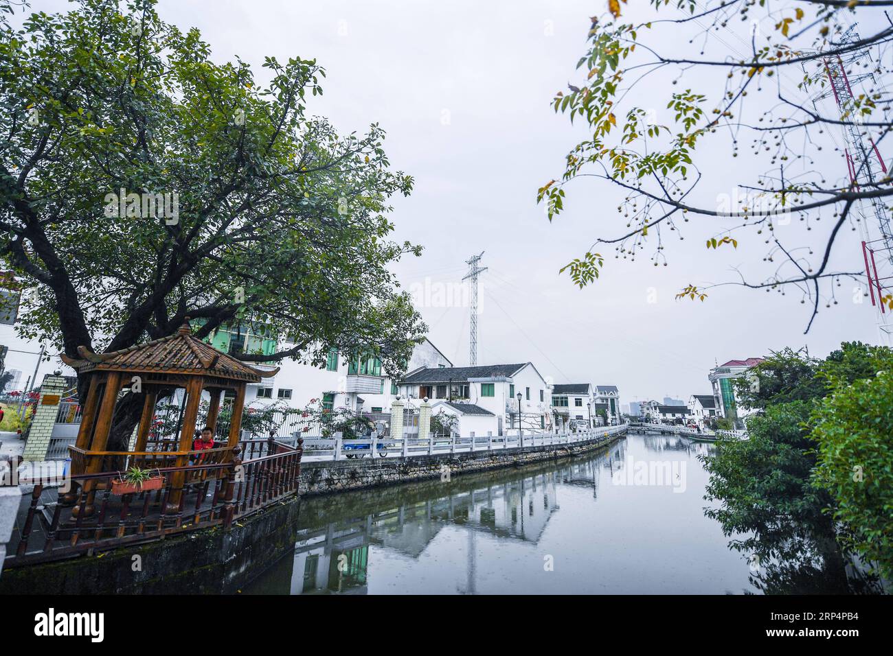 (181115) -- WENZHOU, 15. November 2018 -- Foto aufgenommen am 15. November 2018 zeigt die Landschaft des Dorfes Zhangli in Wenzhou, ostchinesische Provinz Zhejiang. Seit 2017 hat das Dorf Zhangli verschiedene Maßnahmen ergriffen, um eine kohlenstoffarme Lebensweise zu fördern, indem Solarzellen auf Hausdächern der Bewohner installiert werden, Ladepfähle für Elektroautos eingerichtet werden, Regenwasserrecyclingsysteme eingerichtet werden usw., um einen umweltfreundlicheren Lebensraum zu schaffen. ) (Sxk) CHINA-ZHEJIANG-WENZHOU-LOW CARBON DEVELOPMENT (CN) XuxYu PUBLICATIONxNOTxINxCHN Stockfoto