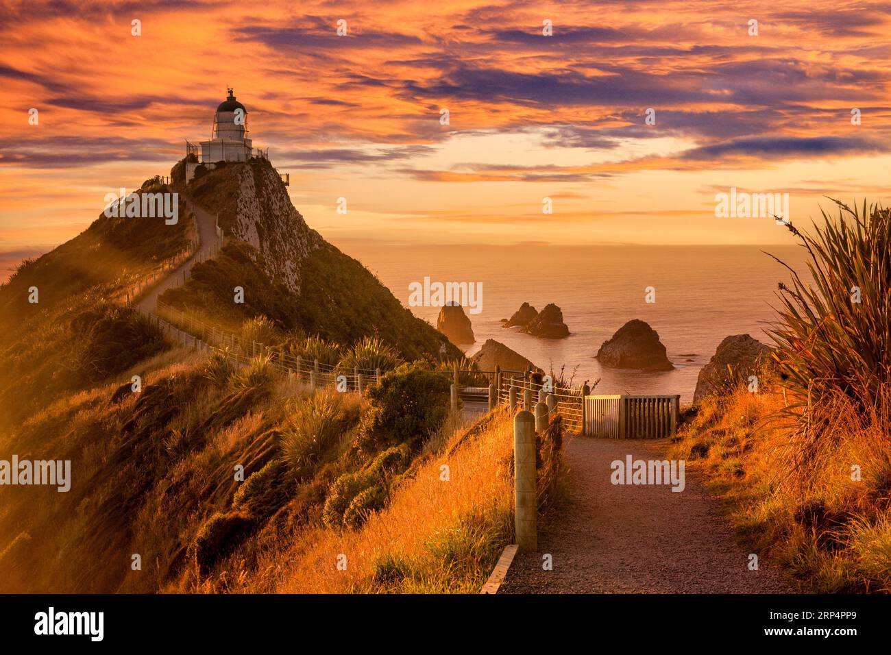 Nugget Point Lighthouse und die Nuggets, Otago, ein berühmter Anblick an der Ostküste Neuseelands. Stockfoto