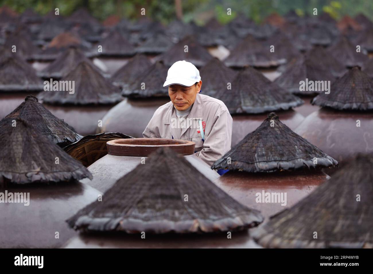 (181119) -- ZUNYI, 19. November 2018 -- Ein Arbeiter kontrolliert den Essig, der in einem Glas in einer Essigfabrik in Chishui, Provinz Guizhou im Südwesten Chinas, am 18. November 2018 ausgestoßen wurde. Chishui hat eine traditionelle Methode zur Essigherstellung mit über 30 Prozessschritten beibehalten.) (Ry) CHINA-GUIZHOU-ESSIGHERSTELLUNG (CN) WangxChangyu PUBLICATIONxNOTxINxCHN Stockfoto