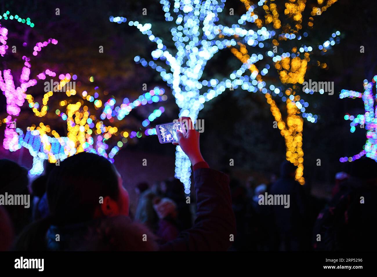 (181124) -- WASHINGTON D.C., 24. November 2018 -- Ein Besucher fotografiert die beleuchteten Bäume während der Zoolights Show im National Zoo in Washington D.C., USA, 23. November 2018. ) (clq) U.S.-WASHINGTON D.C.-ZOOLIGHTS LiuxJie PUBLICATIONxNOTxINxCHN Stockfoto