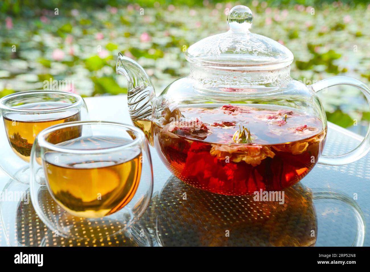 Nahaufnahme einer Kanne Rosentee mit zwei Tassen Tee auf dem Gartentisch Stockfoto