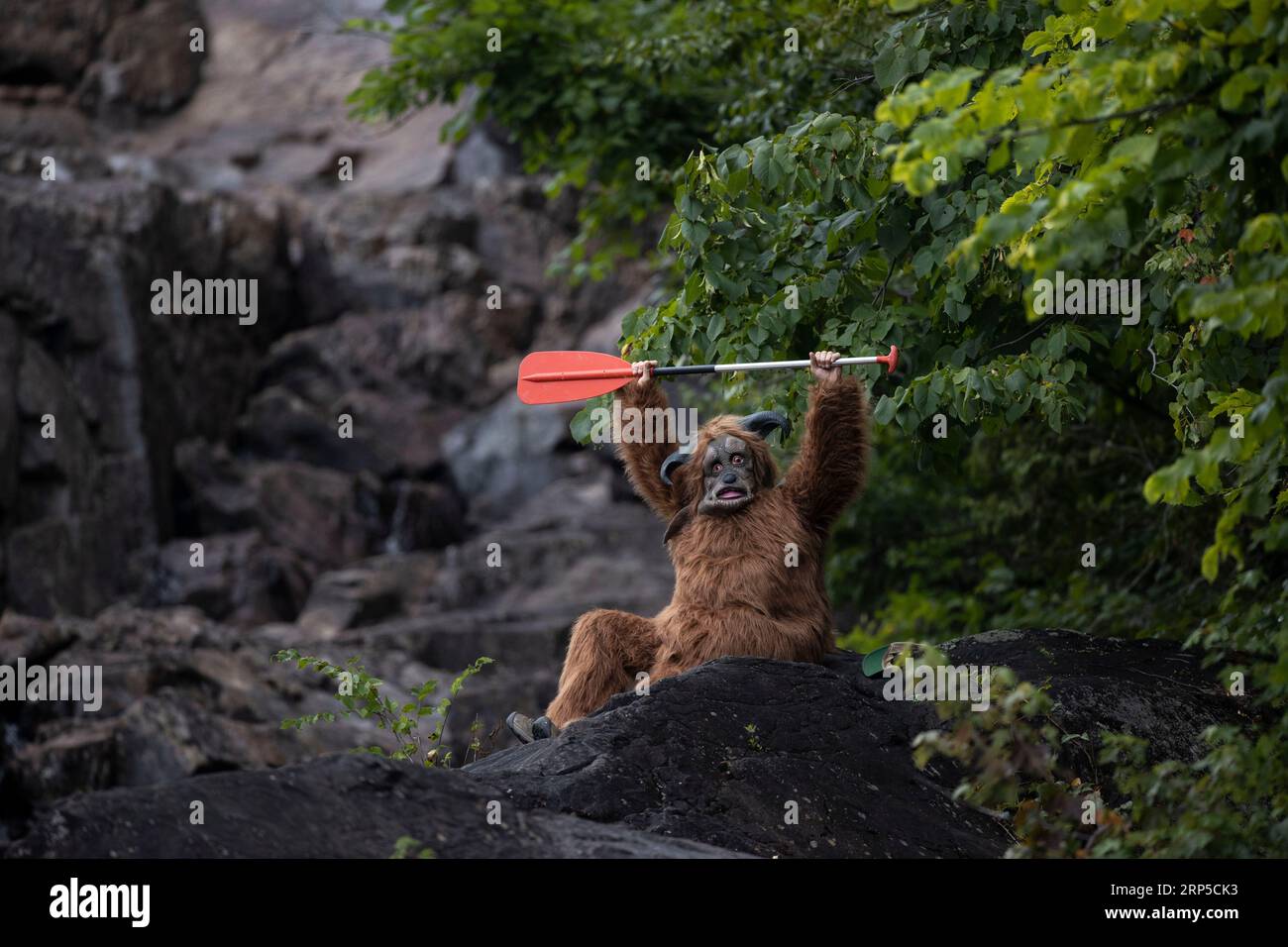 Ein Konkurrent, der die Stromschnellen auf dem Raquette River außerhalb von Colton, NY, als Teil der Whitewater Monarch of New York Race Series begab Stockfoto Ein Konkurrent, der die Stromschnellen auf dem Raquette River außerhalb von Colton, NY, als Teil der Whitewater Monarch of New York Race Series begab Stockfoto