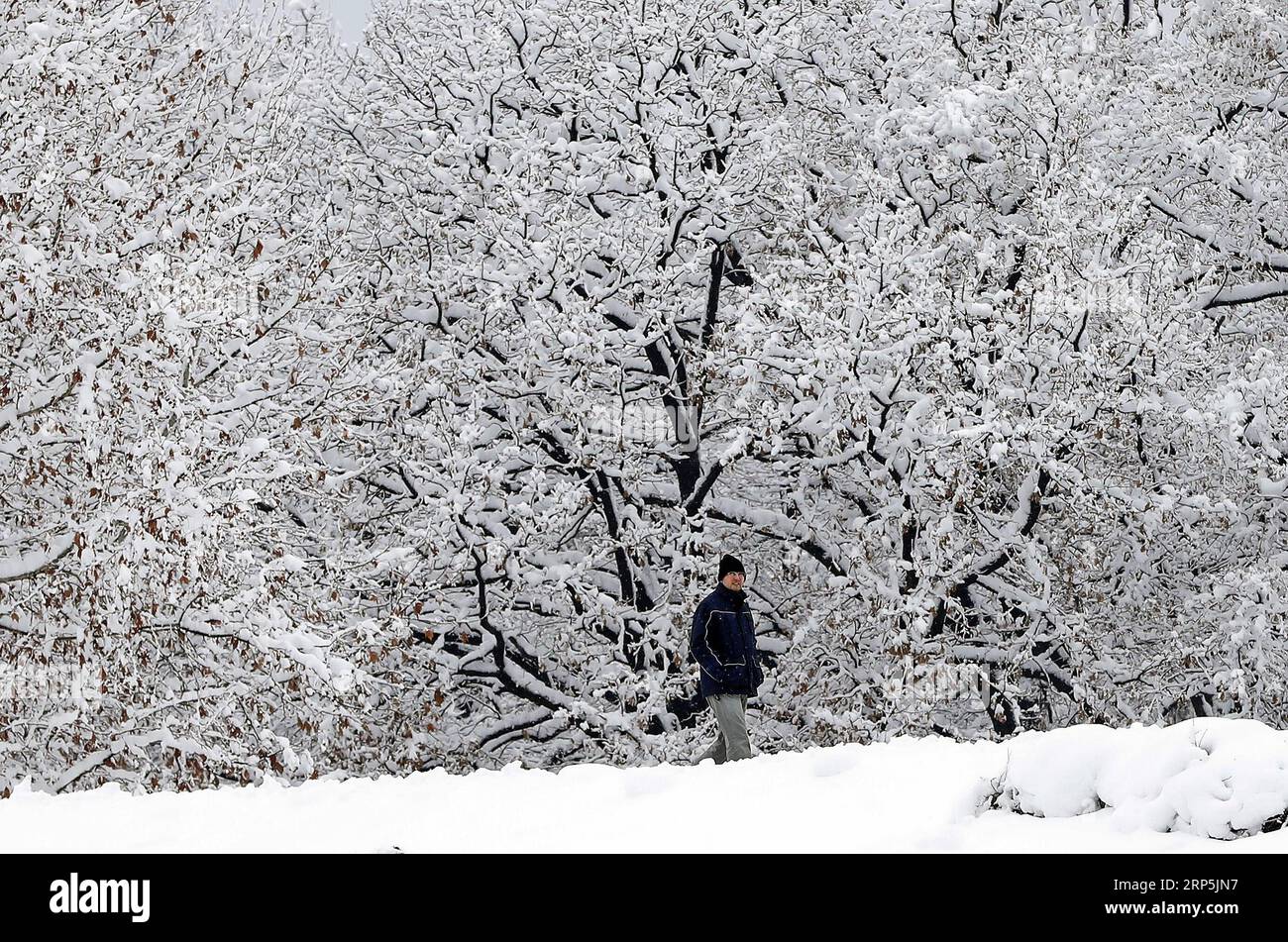 (181216) -- BELGRAD, 16. Dezember 2018 -- Ein Mann geht auf einer schneebedeckten Straße in Belgrad, Serbien, am 16. Dezember 2018. ) SERBIEN-BELGRAD-WETTER-SCHNEE PredragxMilosavljevic PUBLICATIONxNOTxINxCHN Stockfoto