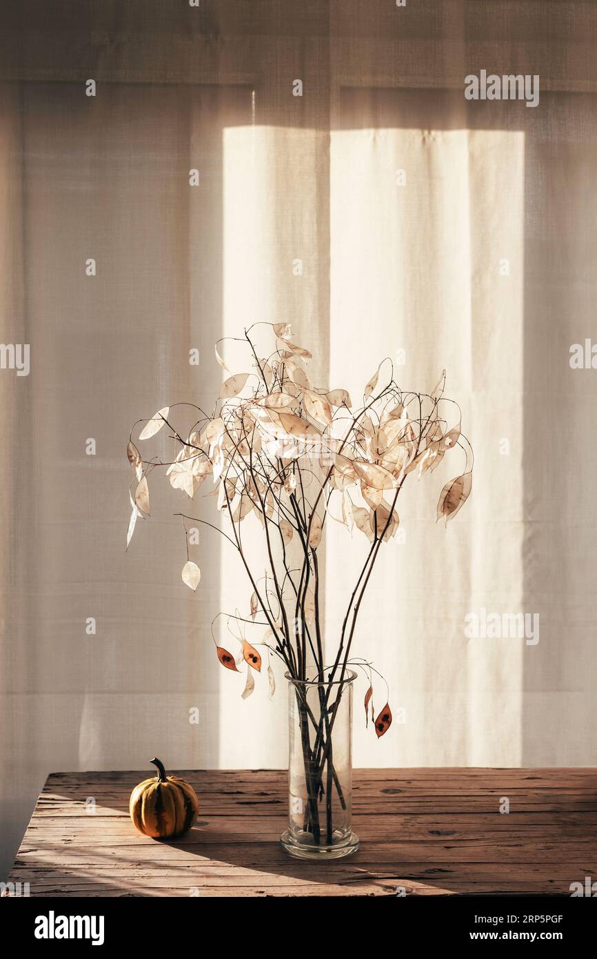Blumenstrauß aus getrockneten Lunarienblüten und kleinem Kürbis auf Holztisch im Sonnenlicht. Minimalistischer Innenbereich mit Blumenmuster. Selektiver Fokus. Stockfoto