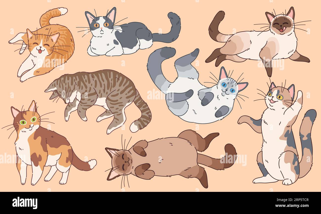 Niedliche Katzen. Lustige Kätzchen verschiedene Rassen, Haustiere schlafen und spielen Zeichentrickvektor Happy Kitty Gesicht Zeichnung Logo Zeichen Set Stock Vektor