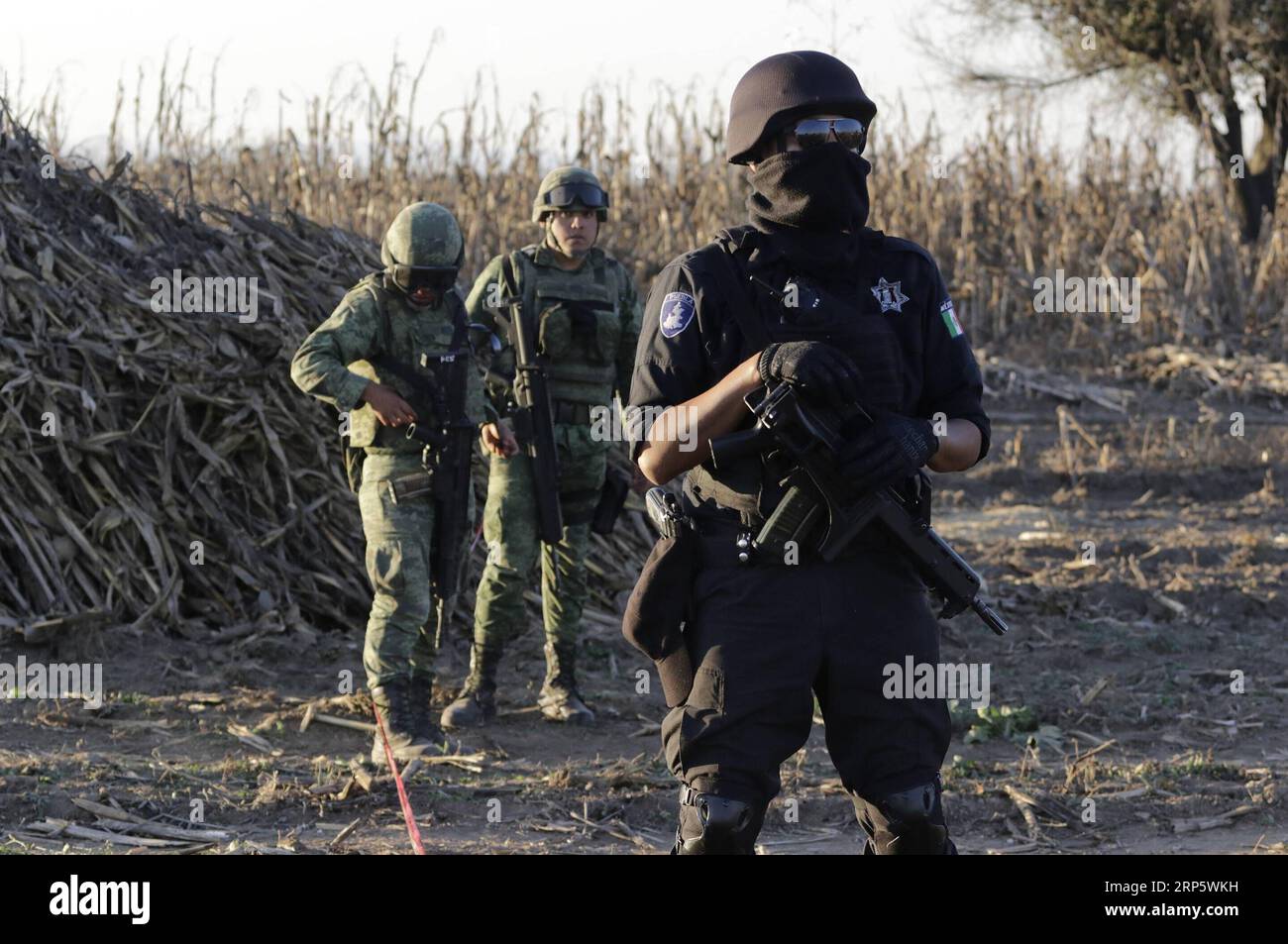 (181225) -- PUEBLA, 25. Dezember 2018 () -- Sicherheitsmitglieder arbeiten am Hubschrauberabsturz in Coronango, Puebla, Mexiko, 24. Dezember 2018. Martha Erika Alonso, die Gouverneurin des mexikanischen Zentralstaates Puebla, und ihr Ehemann Rafael Moreno Valle, Ex-Gouverneur des Staates, wurden am Montag bei einem Hubschrauberabsturz getötet, bestätigte der Chef der National Action Party Marko Cortes. (/Str) (rtg) MEXIKO-PUEBLA-UNFALL-HUBSCHRAUBER-ABSTURZ XINHUA PUBLICATIONxNOTxINxCHN Stockfoto