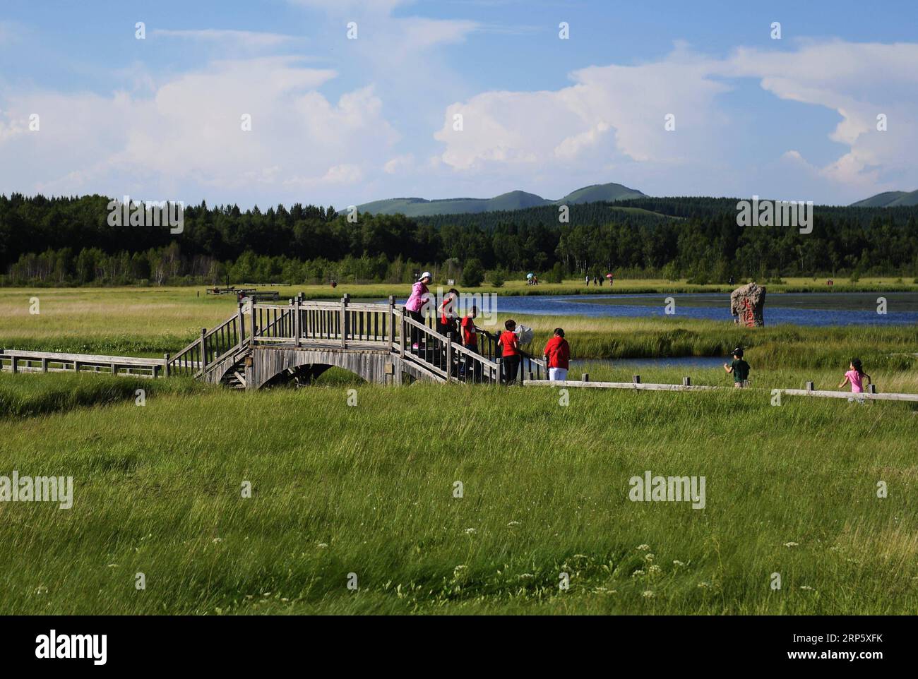 (181226) -- PEKING, 26. Dezember 2018 (Xinhua) -- Foto vom 11. Juli 2017 zeigt Touristen, die das Landschaftsgebiet des Qixing Lake im Saihanba State Forest Park in der Stadt Chengde in der nordchinesischen Provinz Hebei besuchen. Saihanba ist ein weitläufiger Wald mit einer Fläche von fast 75.000 Hektar. Es war vor 55 Jahren ein Stück karges Land, aber Jahrzehnte harter Aufforstungsmaßnahmen machten es zu einem wichtigen ökologischen Schild für Peking und Tianjin. China hat seit 1978 dank des Three-North-Aufforstungsprogramms (TNAP) eine geringere Wüstenbildung und eine erhöhte Waldbedeckung erlebt, so ein am 24. Dezember 201 veröffentlichter Bericht Stockfoto