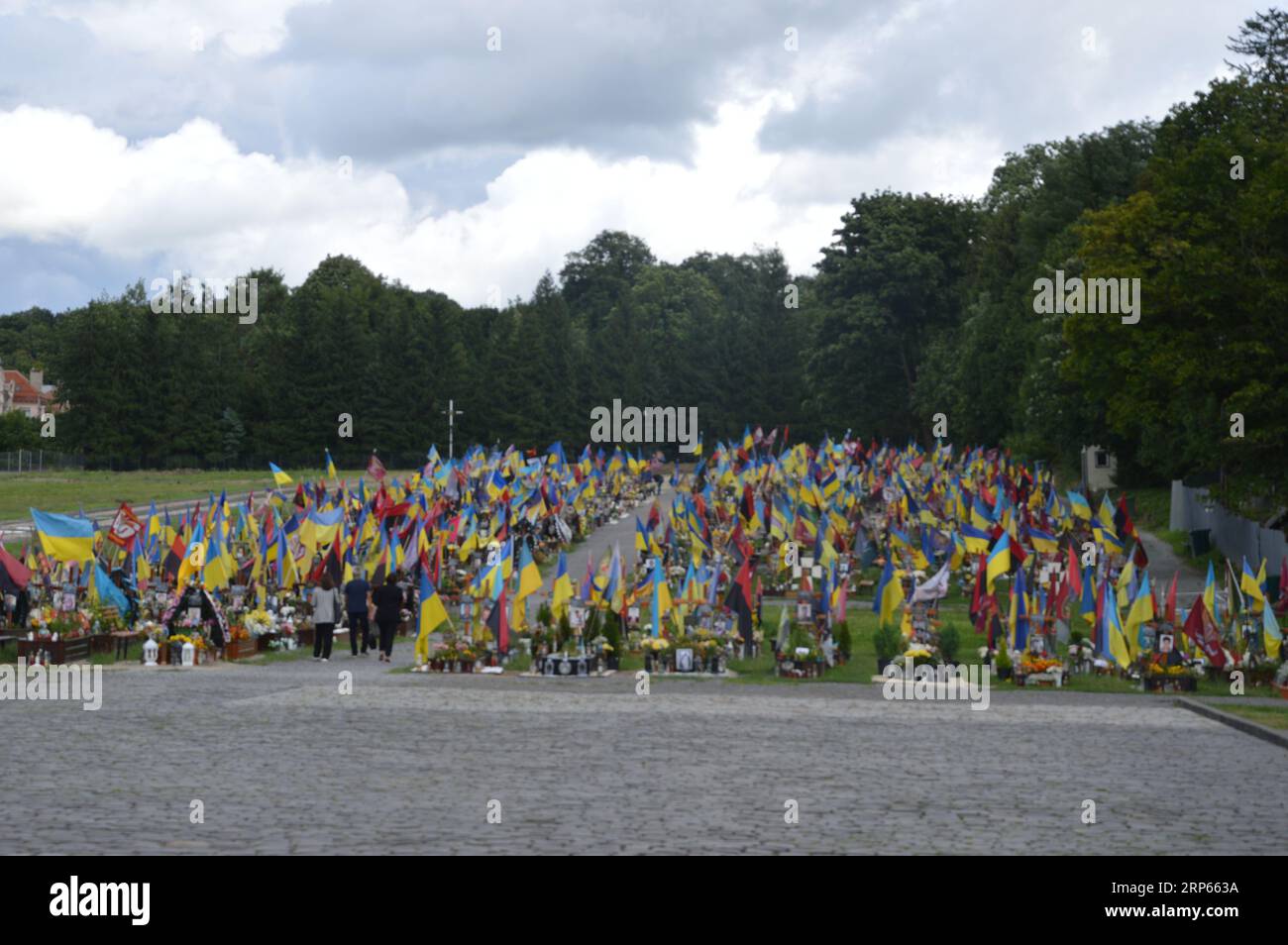Lemberg, Ukraine - 27. Juli 2023 - Militärfriedhof Lychakiv - Gräber ukrainischer Soldaten, die seit der russischen Invasion in der Ukraine getötet wurden. (Foto: Markku Rainer Peltonen) Stockfoto