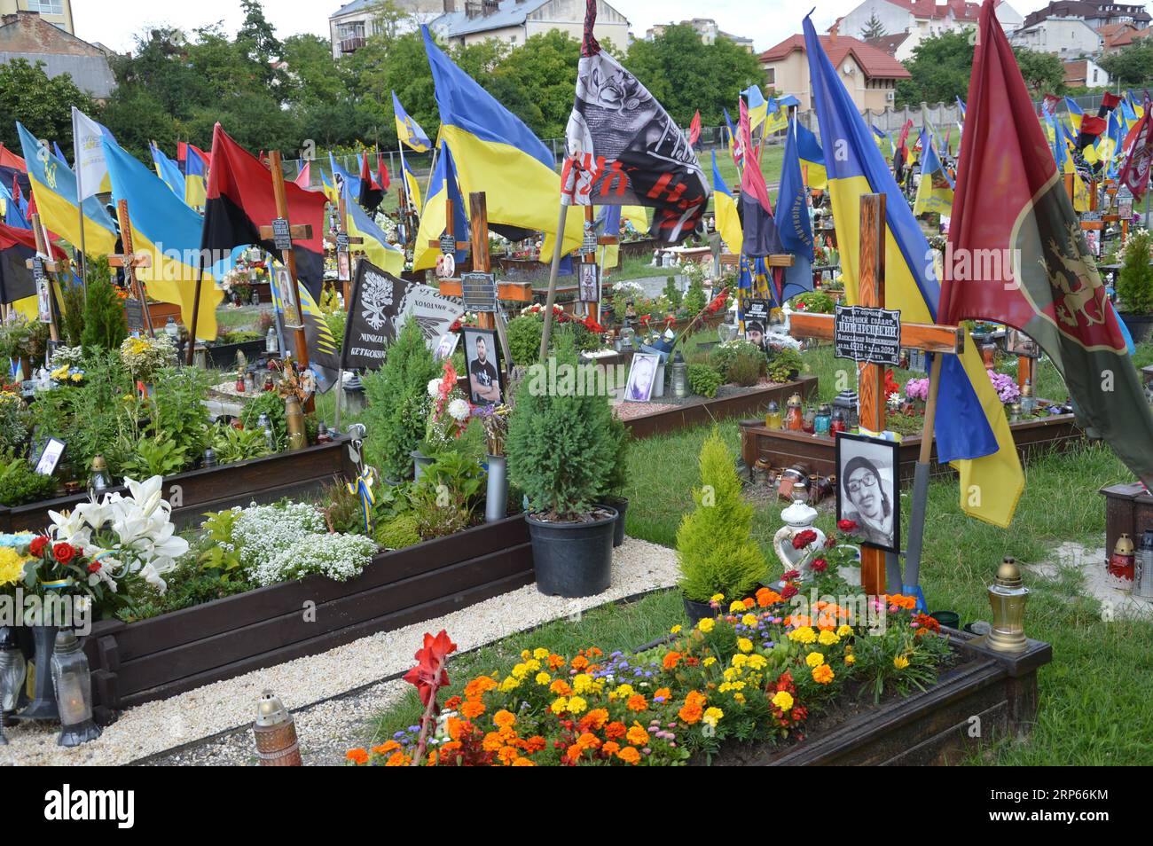 Lemberg, Ukraine - 27. Juli 2023 - Militärfriedhof Lychakiv - Gräber ukrainischer Soldaten, die seit der russischen Invasion in der Ukraine getötet wurden. (Foto: Markku Rainer Peltonen) Stockfoto