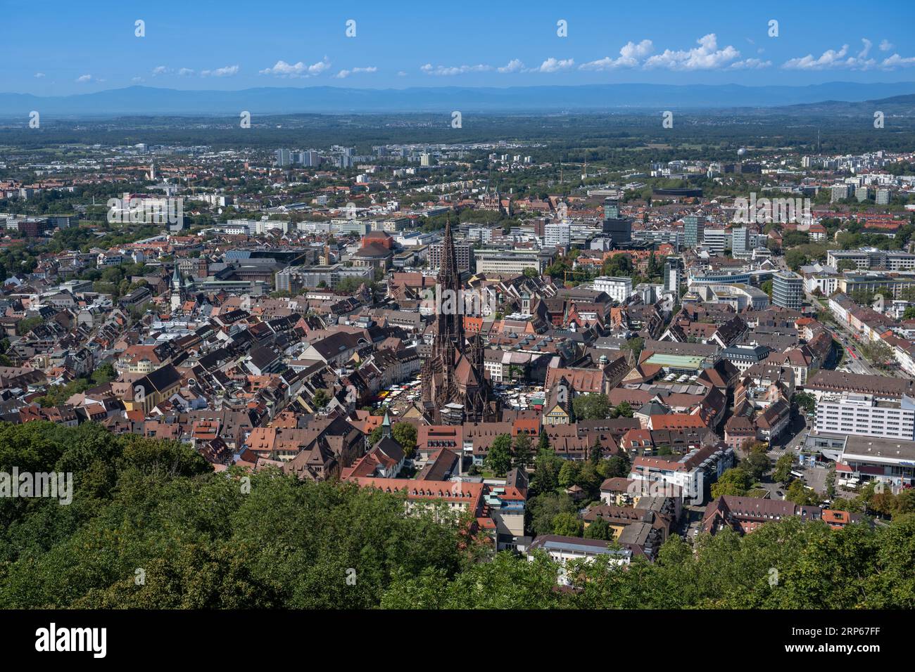 Freiburg im Breisgau. Blick über die Dächer der Altstadt mit dem Freiburger Dom. Baden-Württemberg, Deutschland, Europa Stockfoto