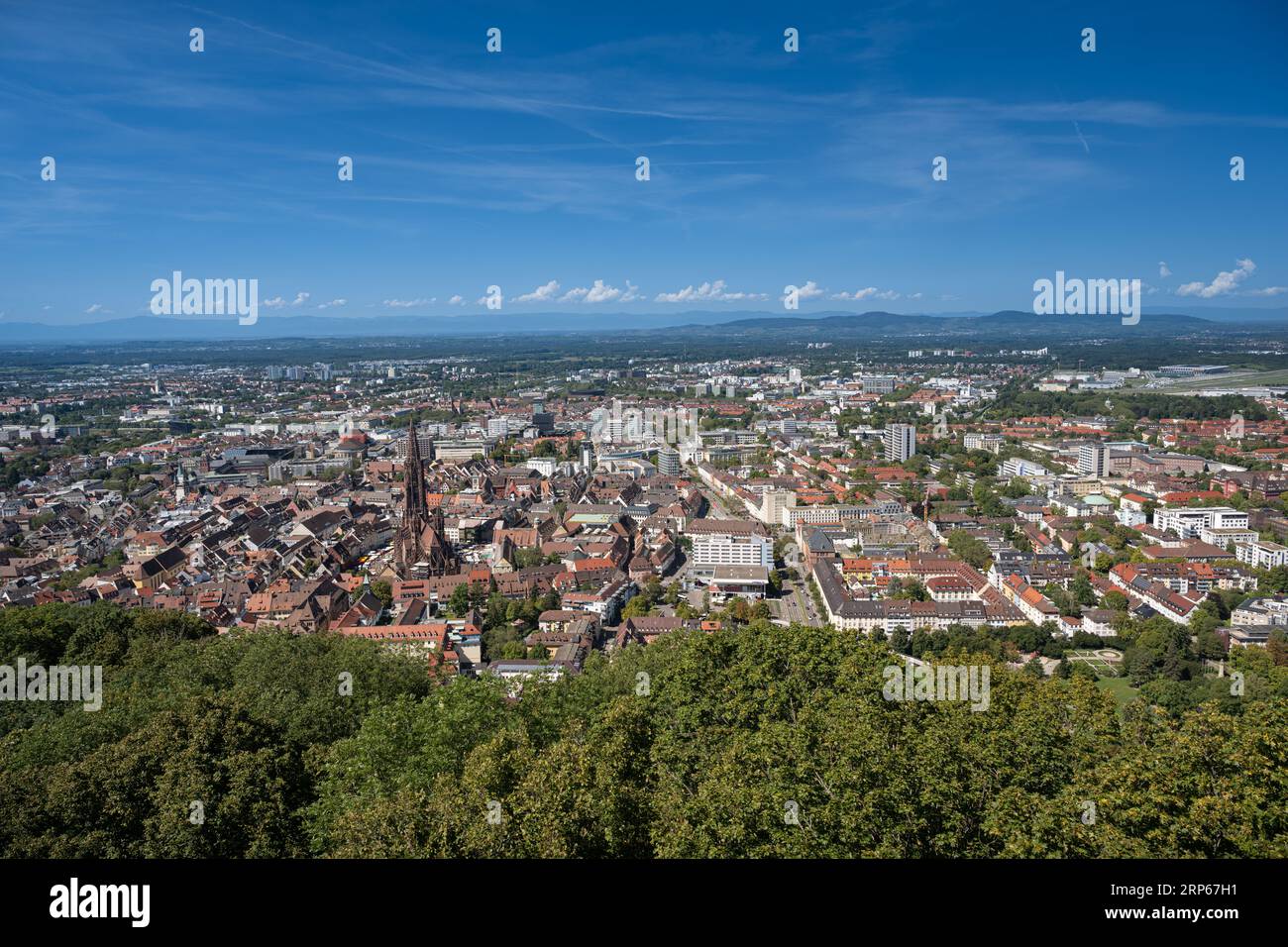 Freiburg im Breisgau. Blick über die Dächer der Altstadt mit dem Freiburger Dom. Baden-Württemberg, Deutschland, Europa Stockfoto