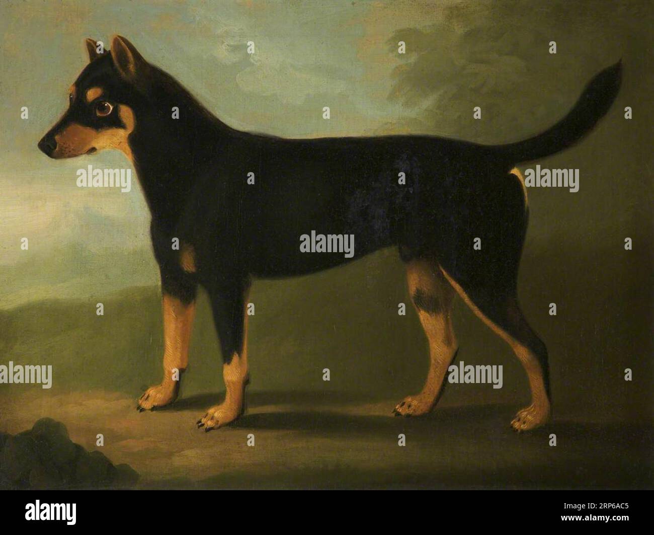 Ein Hund mit dunkelbraunen und hellbraunen Markierungen mit einer maskierten Markierung auf dem Gesicht in einer Landschaft zwischen 1794 und 1829 von Daniel Clowes Stockfoto