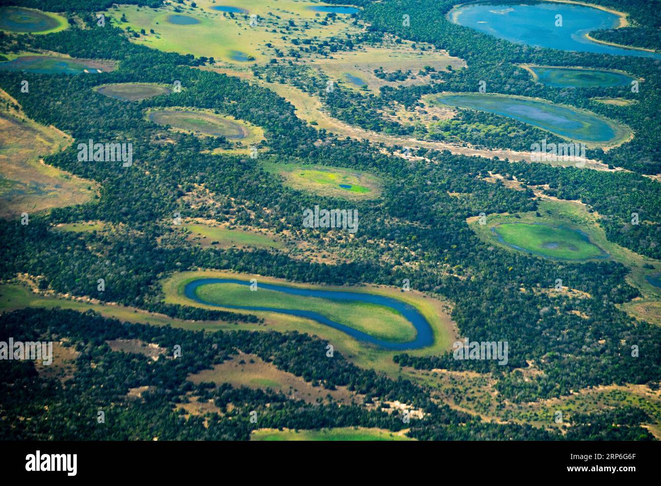 Salinen und Teiche bildeten sich während der Trockenzeit in der Region Nhekolandia, Pantanal, Brasilien. Stockfoto