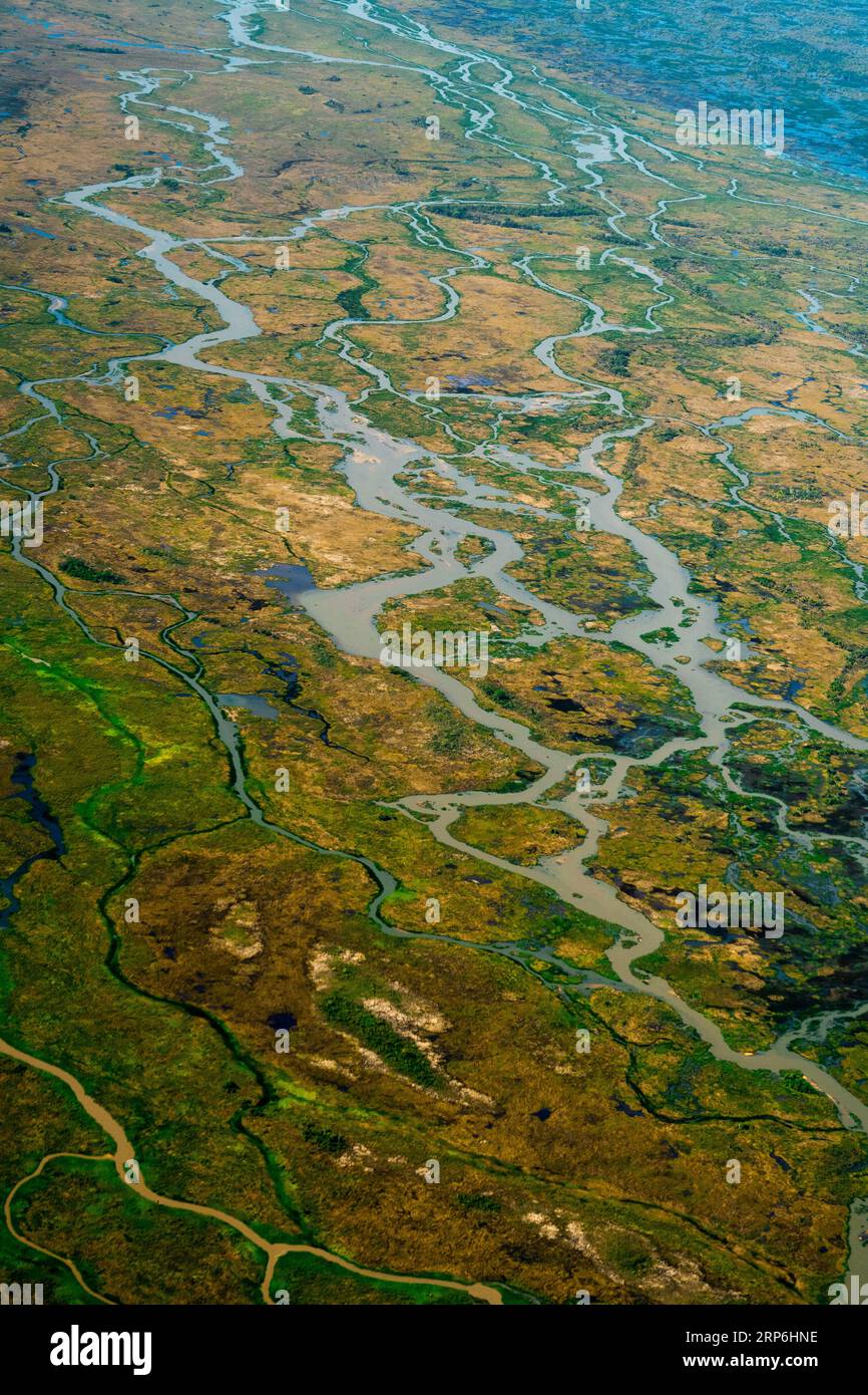 Delta des Taquari-Flusses in der Trockenzeit im Pantanal, Brasilien. Stockfoto