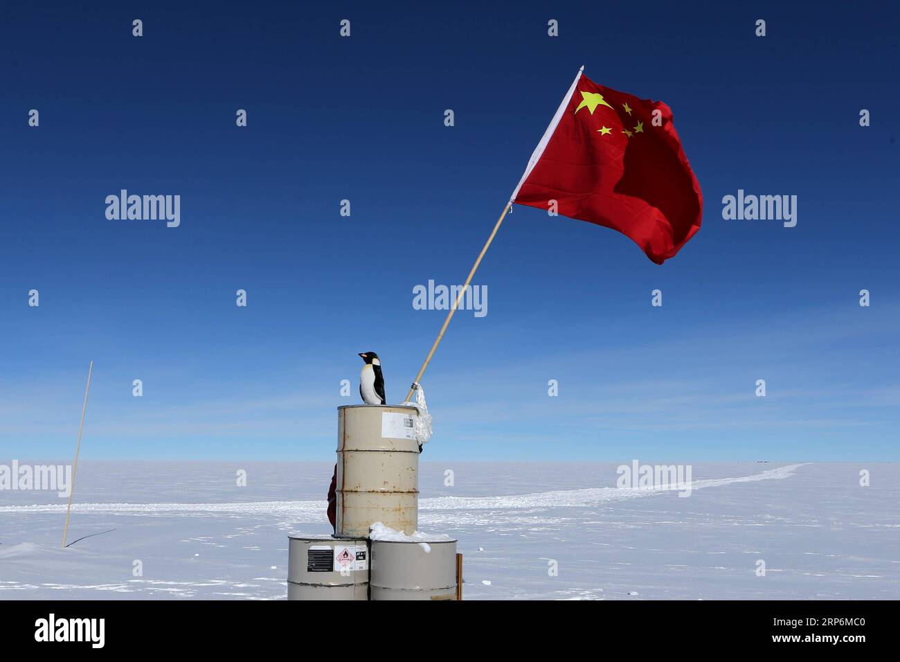 (190116) -- ANTARKTIS, 16. Januar 2019 (Xinhua) -- die chinesische Nationalflagge ist auf dem Gebiet des Dome Argus (Dome A), dem Gipfel der antarktischen Binneneiskappe, in der Antarktis, 16. Januar 2019, zu sehen. (Xinhua/Liu Shiping) ANTARKTIS-CHINA-EXPEDITION-DOME A PUBLICATIONxNOTxINxCHN Stockfoto