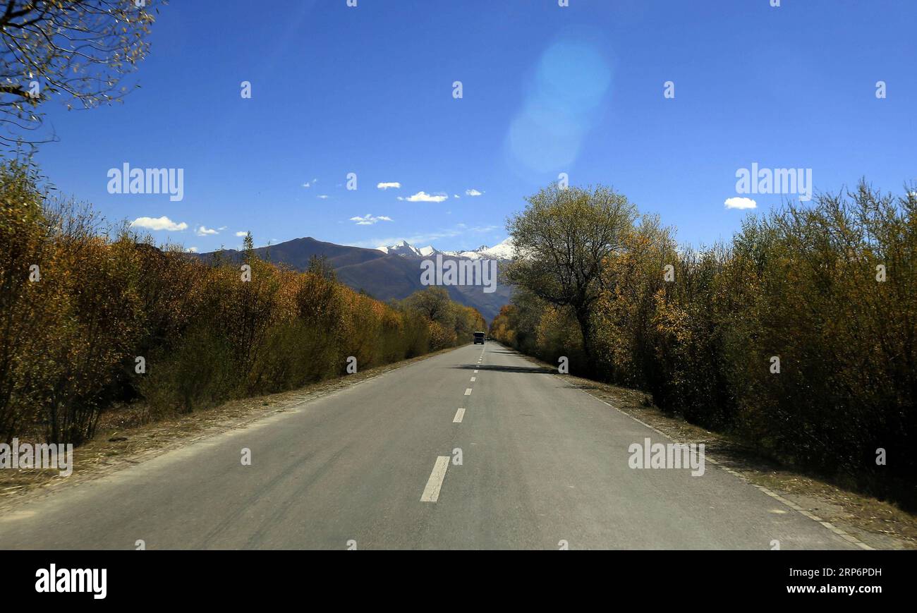 (190118) -- PEKING, 18. Januar 2019 -- Ein Auto fährt auf einer Landstraße im Lhunzhub County von Lhasa, Hauptstadt der autonomen Region Tibet im Südwesten Chinas, 12. Oktober 2013. Tibet hat geplant, bis Ende 2019 4.500 Kilometer ländlicher Straßen zu bauen und auszubauen, um alle seine Townships und Dörfer zu verbinden, sagten die lokalen Behörden am 17. Januar 2019. Laut dem Verkehrsministerium der Region wird dieser Schritt voraussichtlich zur laufenden Armutsbekämpfungskampagne beitragen, insbesondere in Tibets einem Township und 12 Dörfern, die noch keinen Zugang zu Straßen haben. Tibet investierte 37,29 Milliarden Yuan (etwa 5,5 Milliarden Yuan) Stockfoto
