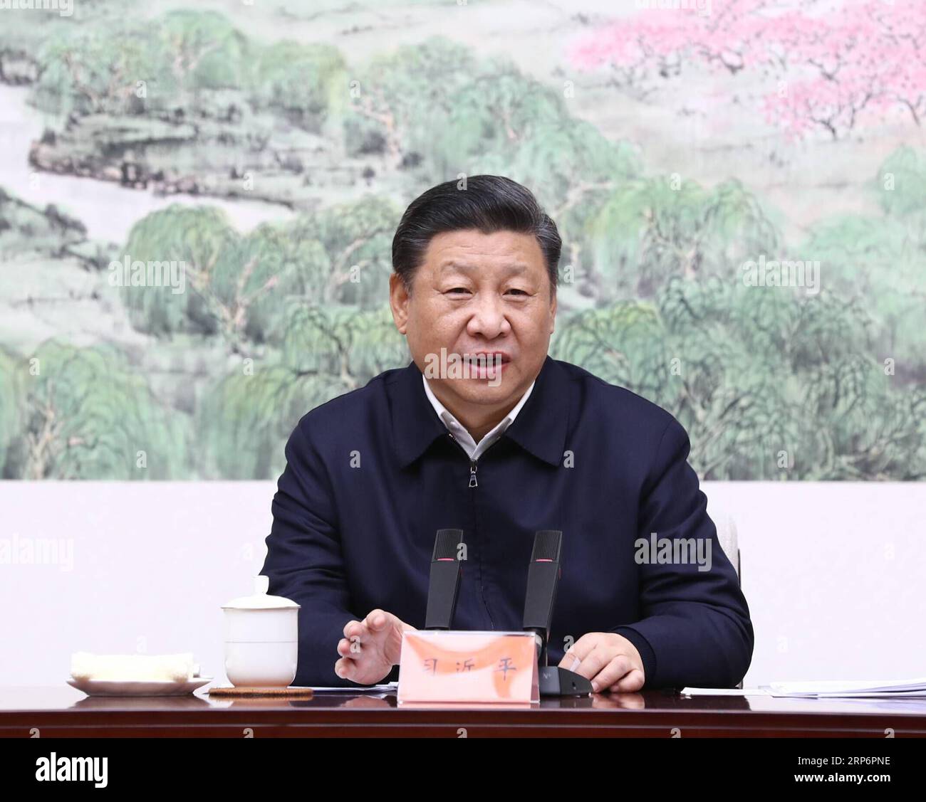 (190118) -- PEKING, 18. Januar 2019 -- der chinesische Präsident Xi Jinping, ebenfalls Generalsekretär des Zentralkomitees der Kommunistischen Partei Chinas und Vorsitzender der Zentralen Militärkommission, leitet ein Symposium über die koordinierte Entwicklung der Region Peking-Tianjin-Hebei und hält eine wichtige Rede darüber. XI hat vom 16. Januar bis 18. Januar eine Inspektionsreise in der Region Peking-Tianjin-Hebei gemacht. ) CHINA-BEIJING-TIANJIN-HEBEI REGION-XI JINPING-INSPECTION (CN) JUXPENG PUBLICATIONXNOTXINXCHN Stockfoto