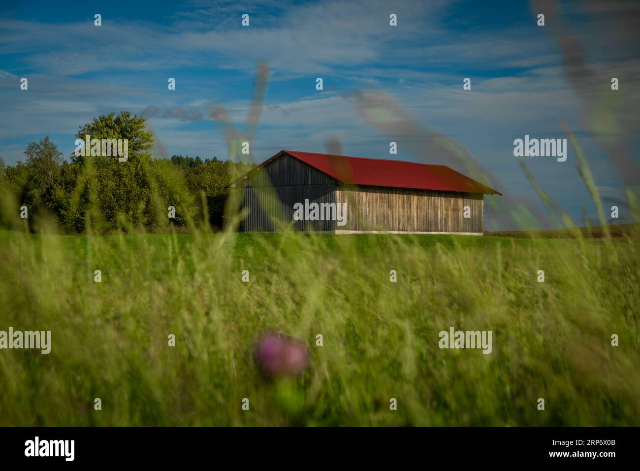 Farbenweiden und Wiesen in Nordösterreich mit dunklem stürmischem, windigem Himmel Stockfoto