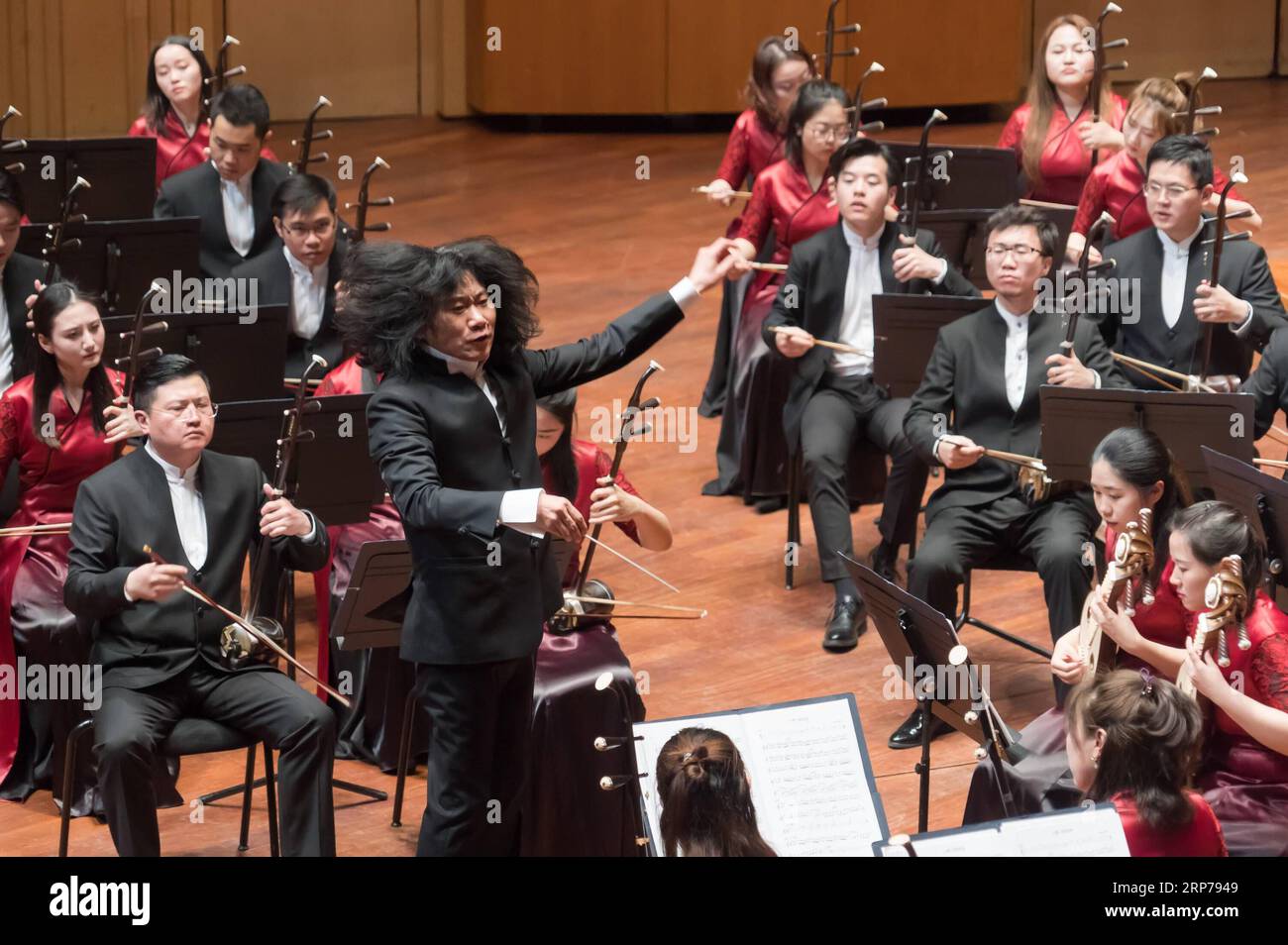 (190201) -- BUDAPEST, 1. Februar 2019 -- das Suzhou Chinese Orchestra präsentiert ein Konzert im Rahmen der chinesischen Neujahrsfeier in Budapest, Ungarn, am 31. Januar 2019. ) UNGARN-BUDAPEST-CHINESISCHES NEUJAHR CONERT ATTILAXVOLGYI PUBLICATIONXNOTXINXCHN Stockfoto