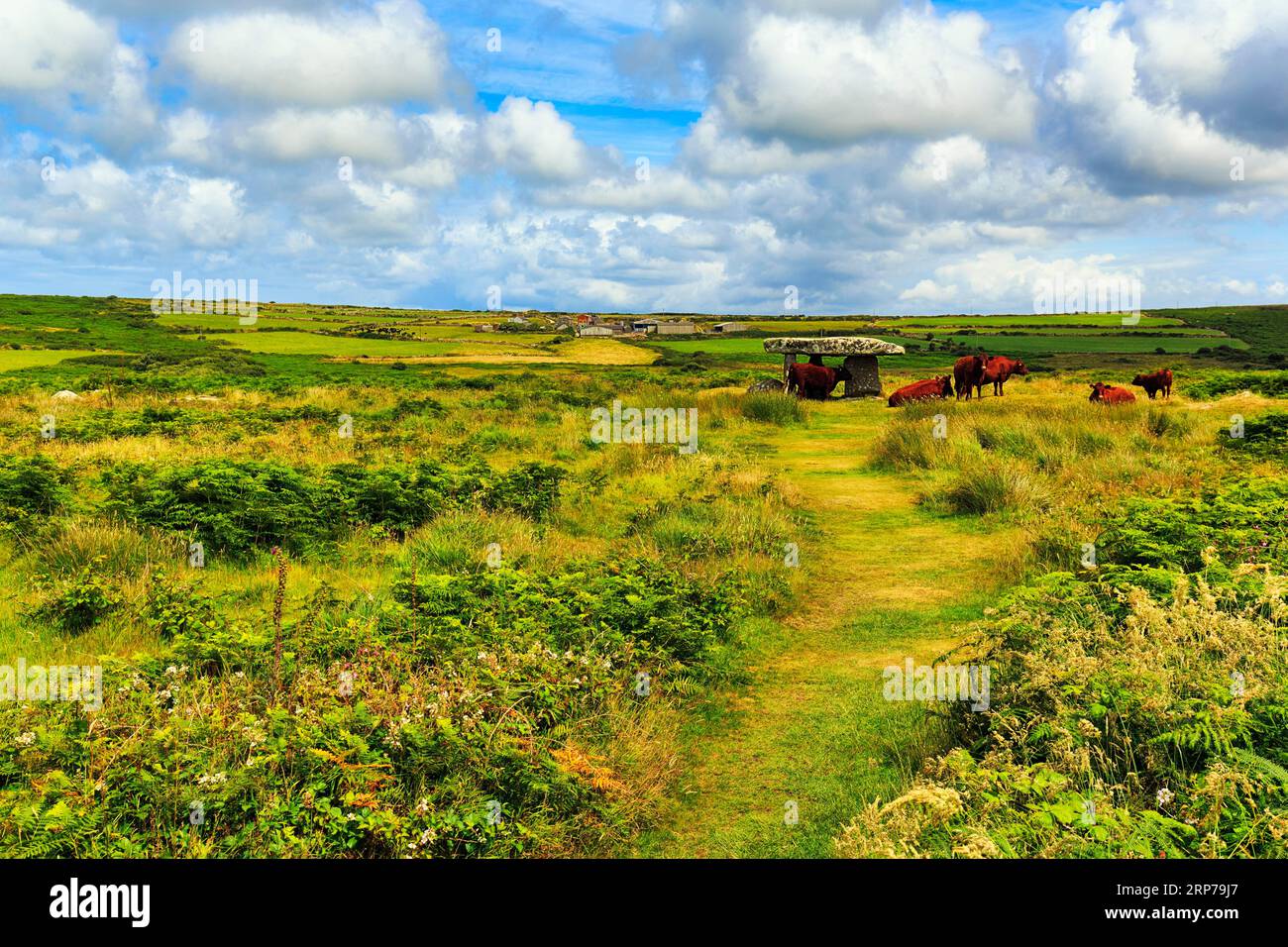 Pfad über eine Wiese mit Rinderherde zum Portalgrab Lanyon Quoit, Neolithische Dolmen, Penzance, Cornwall, England, Vereinigtes Königreich Stockfoto