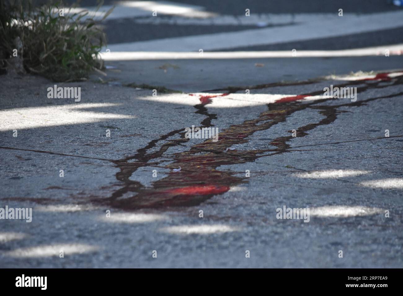 (ANMERKUNG DER REDAKTION: Das Bild enthält grafische Inhalte) Blut ist auf dem Boden vor der BP-Tankstelle zu sehen und Tassen, die Beweise nach einer Schießerei in Brooklyn verbergen. Heute Morgen um etwa 4:07 Uhr reagierte die Polizei auf einen Anruf von 911 eines männlichen Schusses auf die 1525 Myrtle Avenue in Brooklyn, New York. Die Offiziere fanden einen 33-jährigen Mann mit einer Schussverletzung am Kopf. Das Opfer wurde vom Rettungsdienst nach NYC Health and Hospitals/Elmhurst transportiert, wo er für tot erklärt wurde. Es gibt keine Verhaftungen, und die Ermittlungen sind noch nicht abgeschlossen. Stockfoto