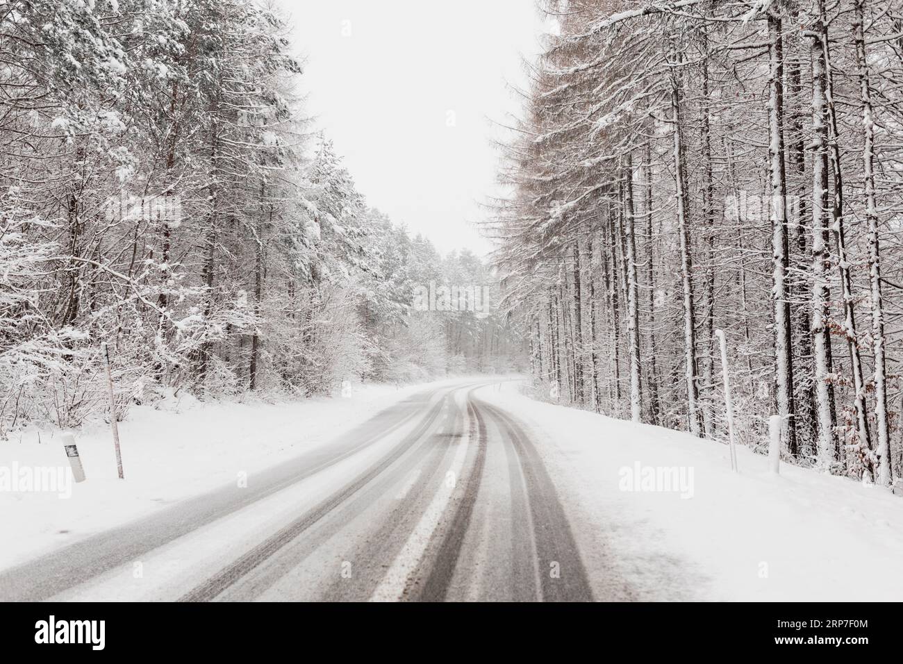 Winter Road Clod Forest Stockfoto