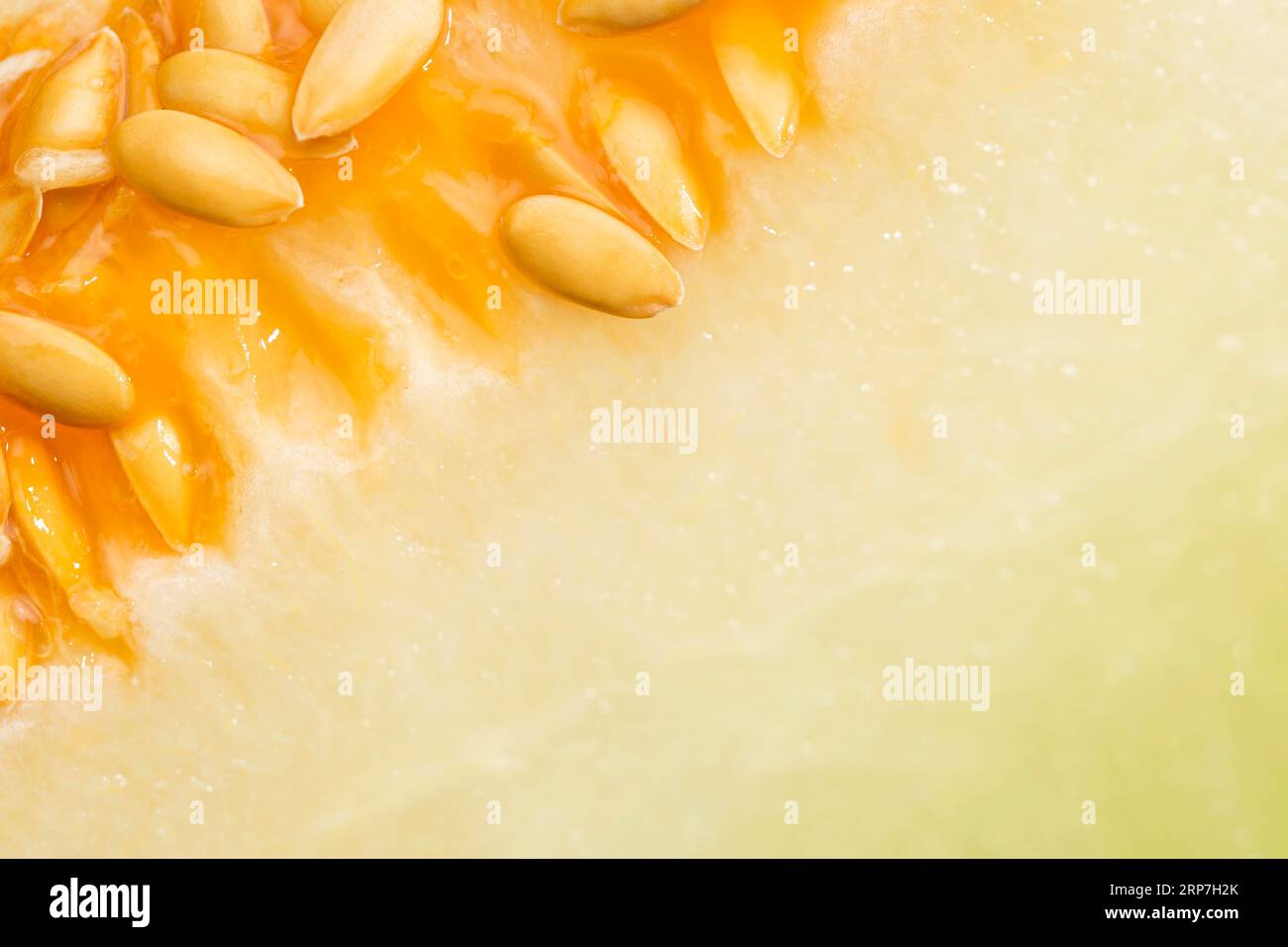 Honigtau-Melonensamen Stockfoto