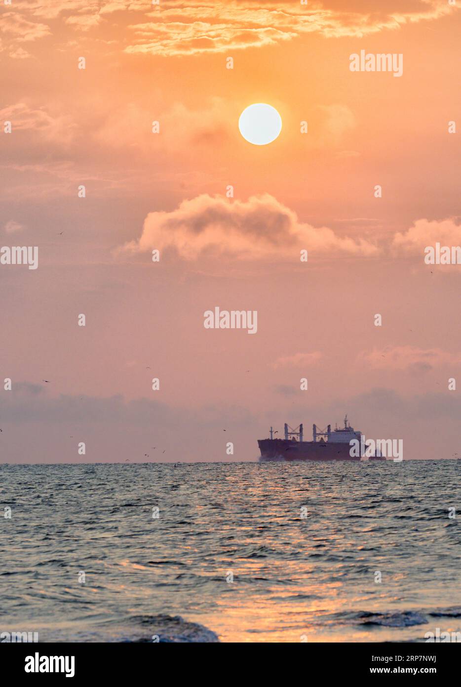 Frachtschiffe auf den Straßen in Galveston Bay am frühen Morgen, Galveston, Texas, USA. Stockfoto