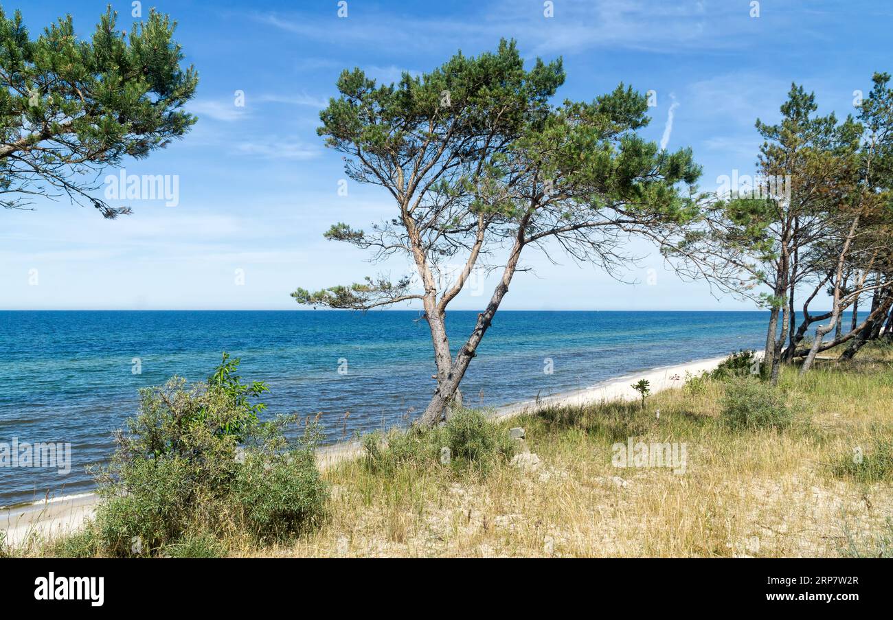 Ostseeküste, Westpommern, Polen, Europa. Sandstrand an einem sonnigen Sommertag. Stockfoto