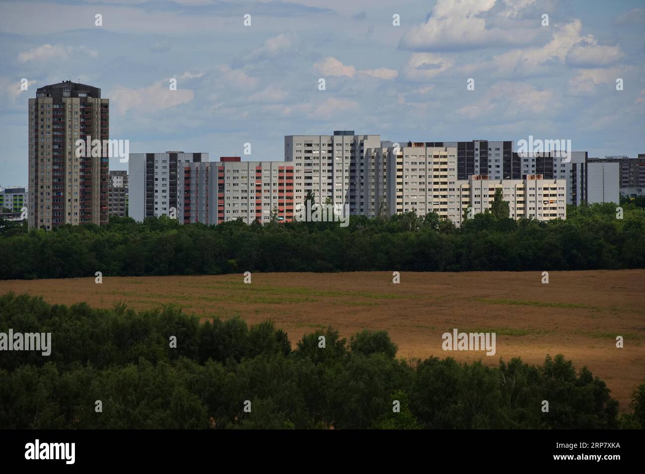Stadtrand mit vorgefertigtem Wohnhaus, Gropiusstadt, Bezirk Neukoelln, Berlin, Deutschland Stockfoto