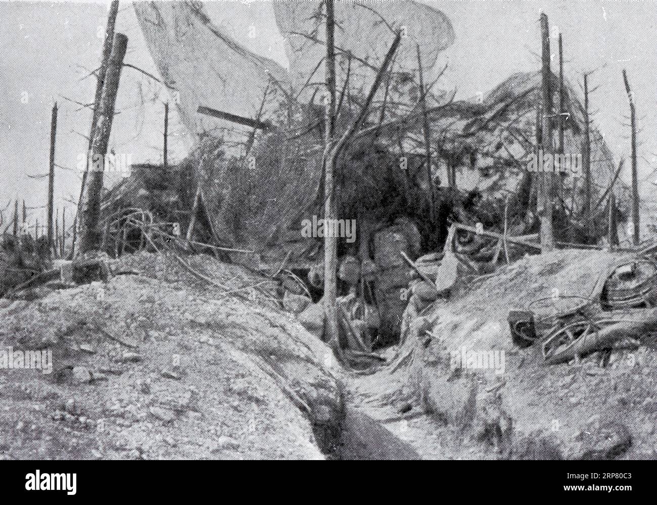 Deutsche Stahlbetonarbeiten, geschützt durch ein Netz gegen Granaten, Cornillet Hills, Mai 1917, Departement Marne, Region Grand East, Frankreich Stockfoto