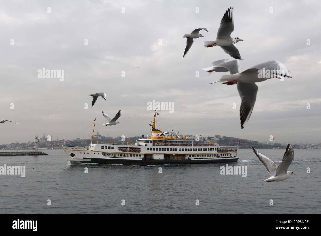 (190312) -- ISTANBUL, 12. März 2019 (Xinhua) -- Ein Schiff wird am 21. Januar 2019 in der Bosporusstraße in Istanbul in der Türkei gesehen. Die türkischen Behörden verhängten im vergangenen Jahr Rekordstrafen gegen Schiffe, die die Meere rund um die größte Stadt Istanbuls verschmutzten. Die Stadt Istanbul gab kürzlich auf ihrer Website bekannt, dass im vergangenen Jahr insgesamt 87 Schiffe wegen Verschmutzung des Schwarzen Meeres, des Marmarameer und der Bosporusstraße mit 5,7 Millionen türkischen Lira (etwa 1,1 Millionen US-Dollar) bestraft wurden. (Xinhua/Xu Suhui) TÜRKEI-ISTANBUL-REKORDFINANZSCHIFFE-POLLLUT Stockfoto