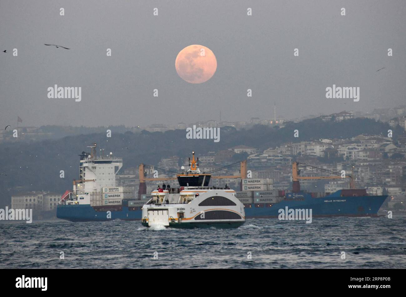 (190312) -- ISTANBUL, 12. März 2019 (Xinhua) -- Schiffe werden am 19. Februar 2019 in der Bosporusstraße in Istanbul in der Türkei gesehen. Die türkischen Behörden verhängten im vergangenen Jahr Rekordstrafen gegen Schiffe, die die Meere rund um die größte Stadt Istanbuls verschmutzten. Die Stadt Istanbul gab kürzlich auf ihrer Website bekannt, dass im vergangenen Jahr insgesamt 87 Schiffe wegen Verschmutzung des Schwarzen Meeres, des Marmarameer und der Bosporusstraße mit 5,7 Millionen türkischen Lira (etwa 1,1 Millionen US-Dollar) bestraft wurden. (Xinhua/Xu Suhui) TÜRKEI-ISTANBUL-REKORDFINANZSCHIFFE-POLLLUT Stockfoto