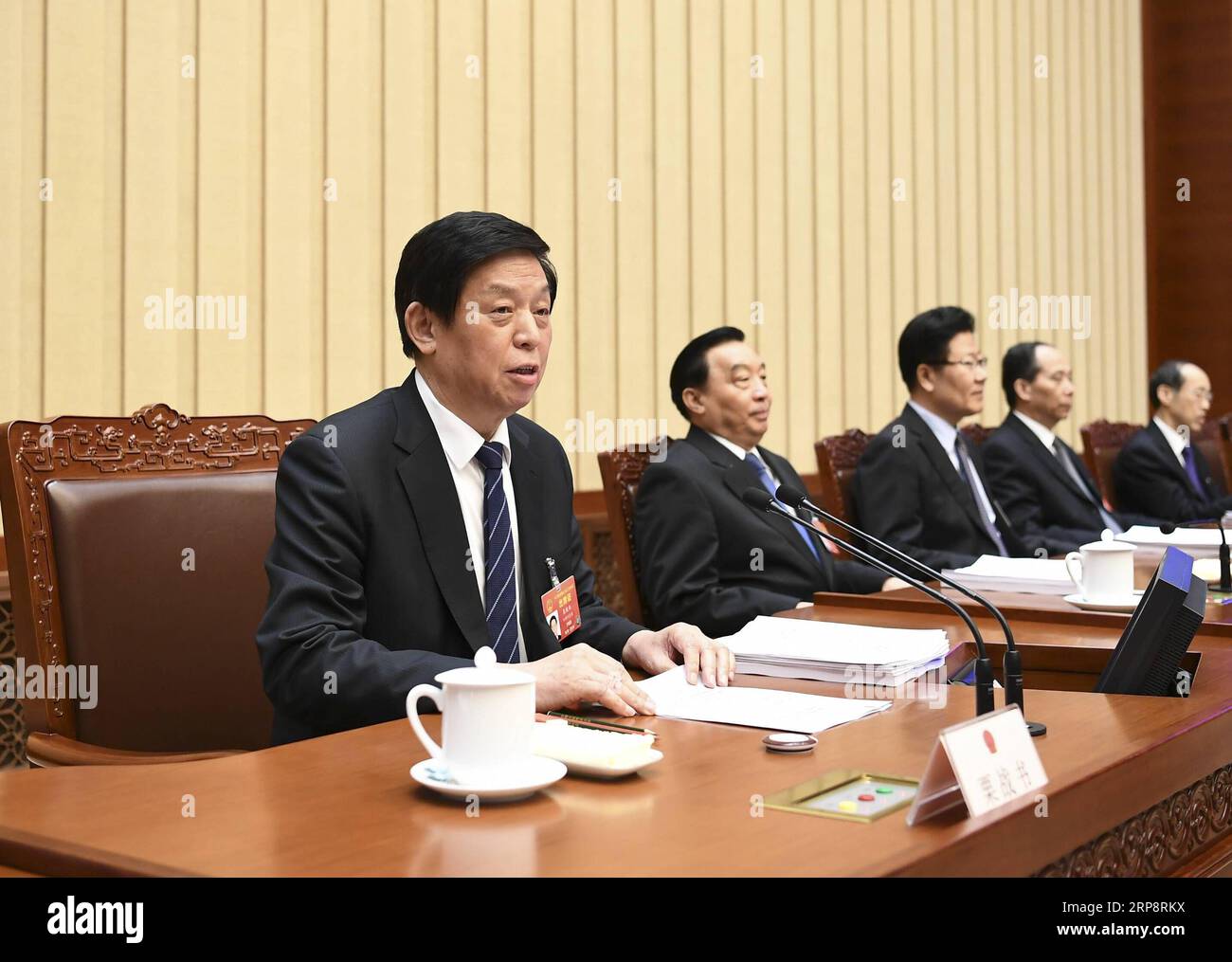 (190314) -- PEKING, 14. März 2019 -- Li Zhanshu, Vorsitzender des Präsidiums der zweiten Sitzung des 13. Nationalen Volkskongresses (NPC), leitet die dritte Sitzung des Präsidiums in der Großen Halle des Volkes in Peking, Hauptstadt Chinas, am 14. März 2019. ) (ZWEI SITZUNGEN)CHINA-BEIJING-NPC-PRESIDIUM-MEETING (CN) XIEXHUANCHI PUBLICATIONXNOTXINXCHN Stockfoto