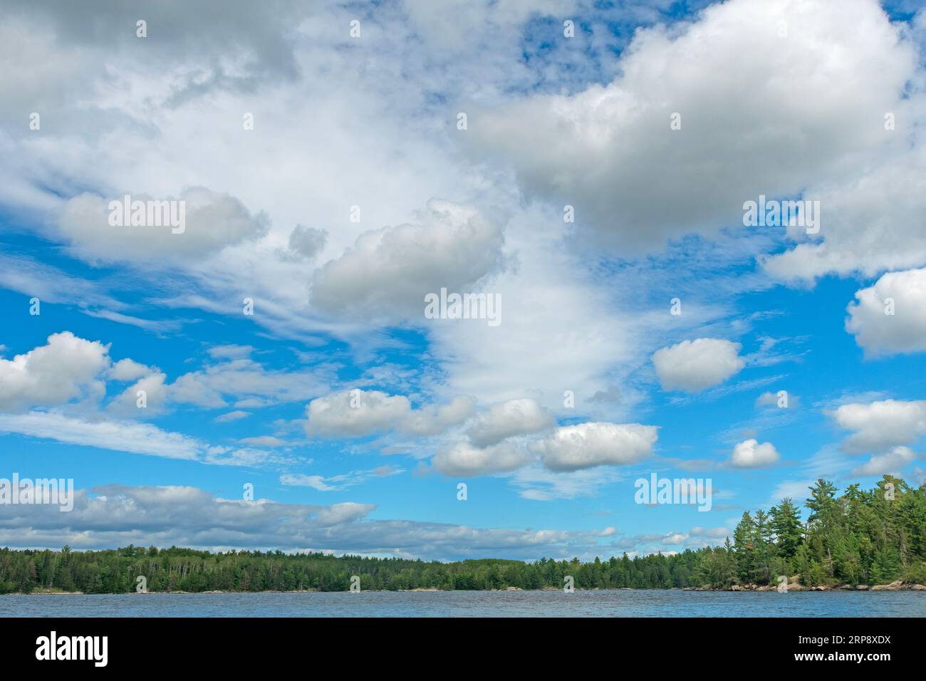 High Clouds of Summer über dem North Woods Lake im Voyageurs National Park in Minnesota Stockfoto