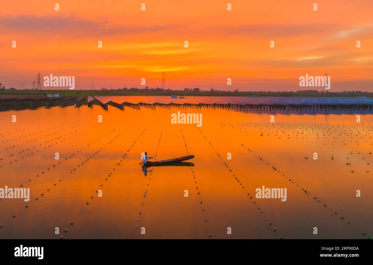 SUQIAN, CHINA - 3. SEPTEMBER 2023 - Arbeiter kontrollieren das Wachstum von Perlen per Boot an einem Stausee, an dem Photovoltaik-Stromerzeugung installiert wurde i Stockfoto