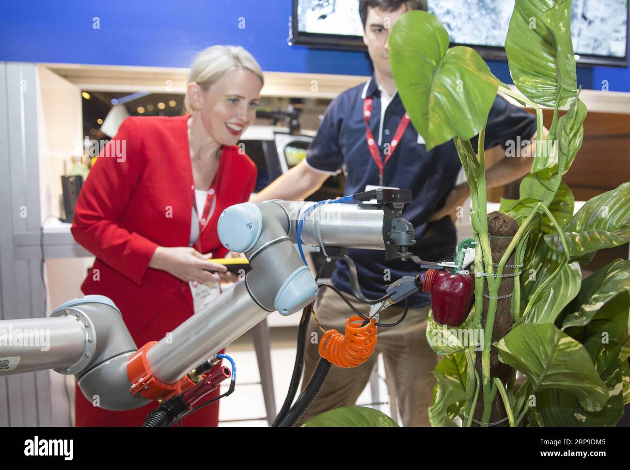 (190403) -- BRISBANE, 3. April 2019 -- Queenslands Ministerin für Innovation und Tourismus Kate Jones (L) sieht einen Roboter, der an einem Stand in Qode, einer zweitägigen Technologiekonferenz, in Brisbane im australischen Bundesstaat Queensland, am 2. April 2019, arbeitet. Die australische Stadt Brisbane war am Dienstag Gastgeber einiger der größten Namen der Region im Bereich der neuen Technologie, indem sie eine zweitägige Veranstaltung einleitete, um Innovation und digitale Entwicklung im gesamten Bundesstaat Queensland zu fördern. ) AUSTRALIEN-BRISBANE-INTERNATIONALE TECH-VERANSTALTUNG BaixXuefei PUBLICATIONxNOTxINxCHN Stockfoto