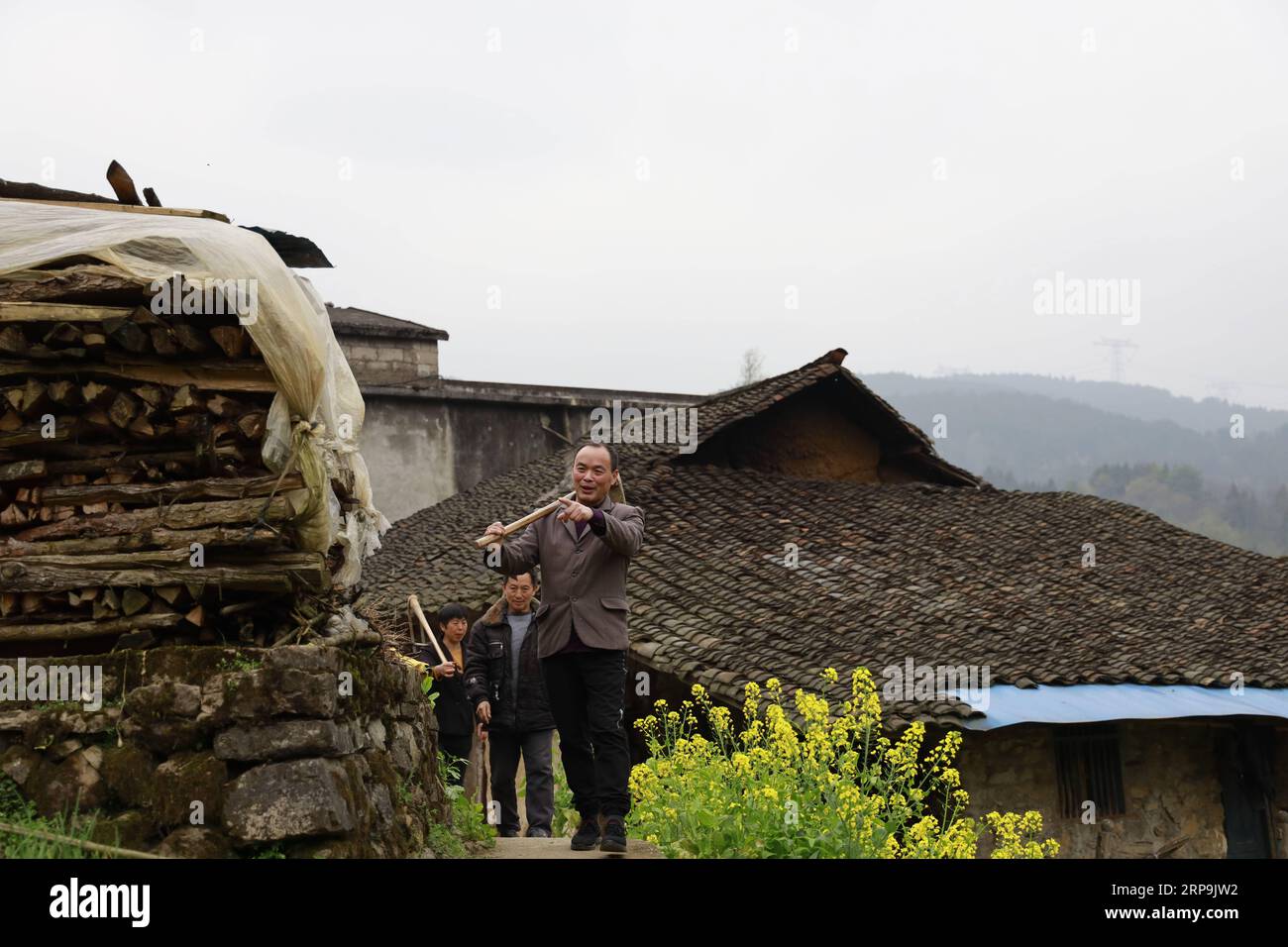 (190409) -- CHONGQING, 9. April 2019 (Xinhua) -- Yang Xingyong (Front) und seine Familienmitglieder gehen zu ihren Arbeitsfeldern im Dorf Banqiao der Stadt Baima im Bezirk Wulong im südwestchinesischen Chongqing, 27. März 2019. Yang Xingyong, ein 48-jähriger Bauer aus dem Dorf Banqiao in der Stadt Baima im Bezirk Wulong von Chongqing, hat über 2.000 Aufführungen in The Impression Wulong inszeniert, einer bekannten 70-minütigen Show, die die Landschaft und Kultur Südwestchinas darstellt. Seine Exzellenz bei der Aufführung von Chuanjiang Haozi, Arbeitsliedern von Bootsschleppern in Chongqing, hat ihm nicht nur Berühmtheit eingebracht, Stockfoto