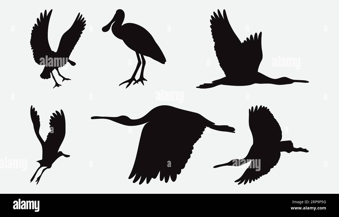Anmutige Spoonbill Silhouetten, Eine faszinierende Sammlung von Wasservogelschatten in verschiedenen Posen und Umgebungen Stock Vektor