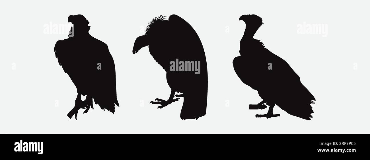 Majestätische Silhouetten von Geiern in verschiedenen Stellungen , Eine atemberaubende Sammlung von Vogelfressern in Flug und Erholung Stock Vektor Majestätische Silhouetten von Geiern in verschiedenen Stellungen , Eine atemberaubende Sammlung von Vogelfressern in Flug und Erholung Stock Vektor